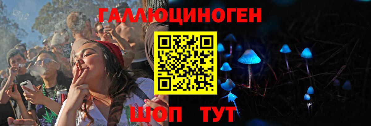Ставрополь  Псилоцибиновые грибы Psilocybe  Вход с VPN 